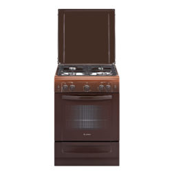 Газовая плита ПГ 6100-02 0010