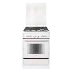 Газовая плита ПГ 6300-02 0340T