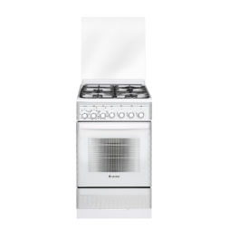 Газоэлектрическая плита ПГЭ 5302-03 0040