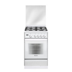 Газовая плита ПГ 5300-03 0040