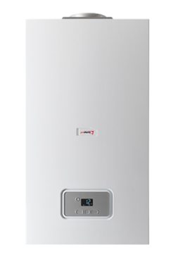 PROTHERM Gepard 23 MOV (Гепард) (дымоходный)
